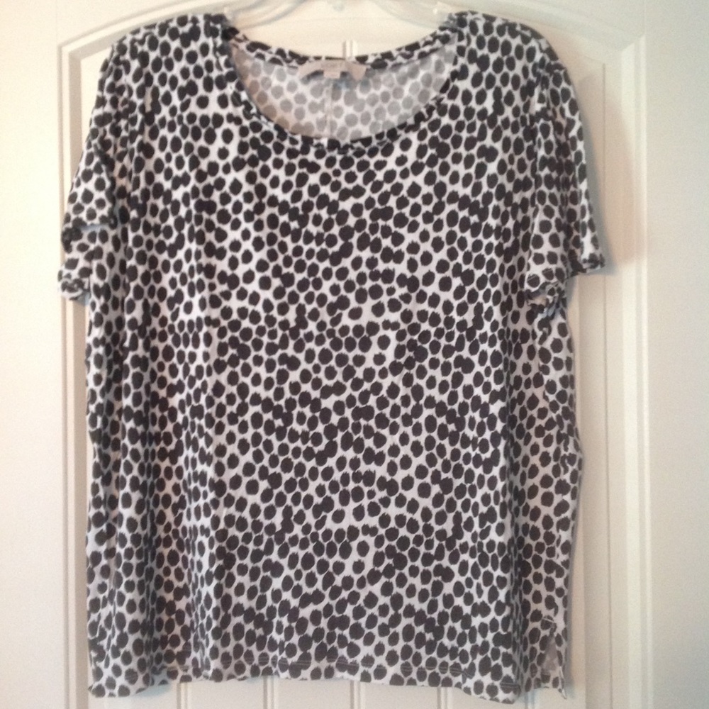 Loft Short Sleeve Top